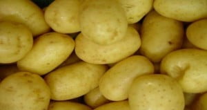 patatas - Recetas de cocina RECETASonline